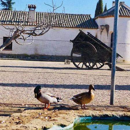 Complejo Valdepusa 펜션