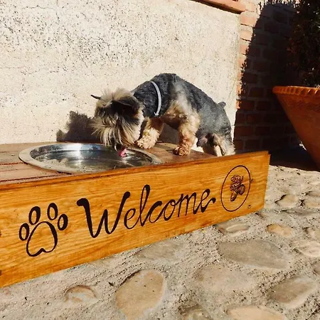 Complejo Valdepusa 펜션 톨레도