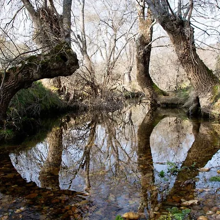 펜션 Complejo Valdepusa 톨레도