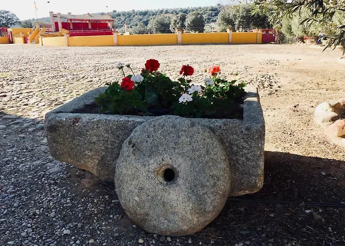 Complejo Valdepusa Semesterbostad Toledo