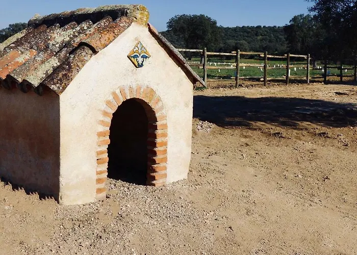 Complejo Valdepusa Semesterbostad Toledo