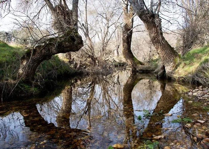 Semesterbostad Complejo Valdepusa Toledo