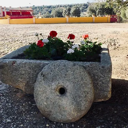 Complejo Valdepusa Holiday home Toledo