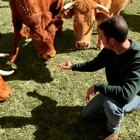 Complejo Valdepusa Holiday home