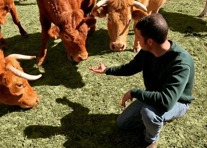 Complejo Valdepusa Holiday home