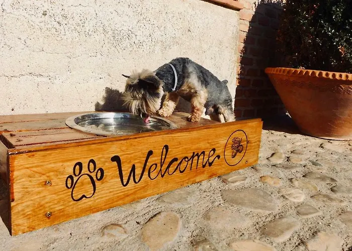 Complejo Valdepusa Holiday home Toledo